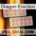 Dragon Erection 27